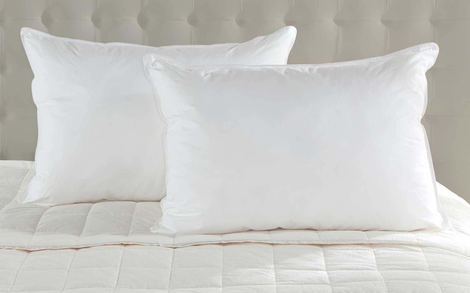 Pair of White Duck Down Pillows on a bed with padded headboard